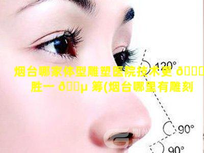 烟台哪家体型雕塑医院技术更 🐝 胜一 🌵 筹(烟台哪里有雕刻石头的)